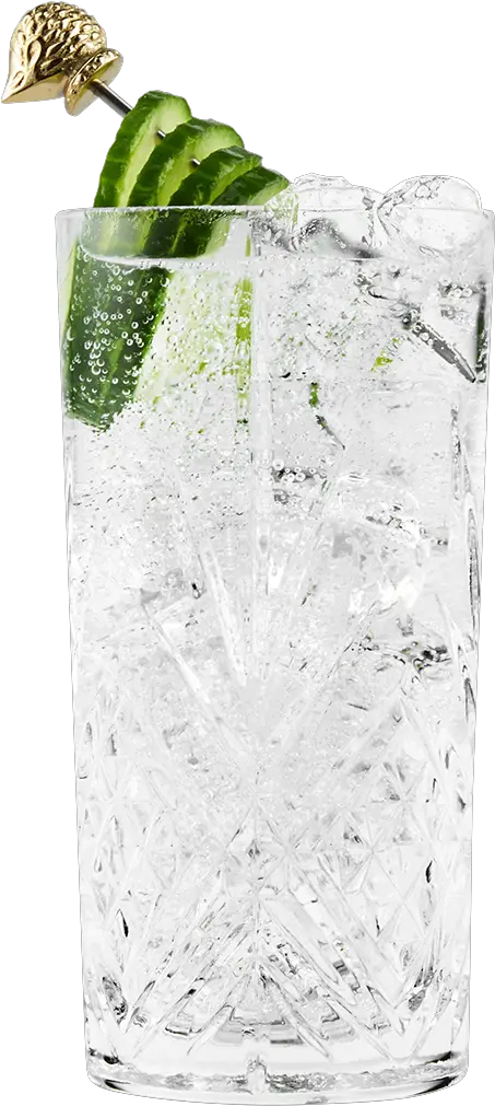 Hendricku2019s U0026 Tonic Gin Tonic Recipe Png Gin Icon