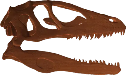 Dinosaur Skull Png 1 Image American Crocodile Dinosaur Skull Png