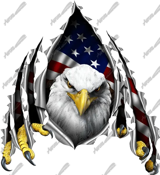 American Eagle Rip Aurora Graphics American Flag With Eagle Drawing Png Bald Eagle Transparent