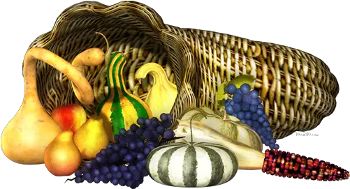 Autumn Dani Foster Herring Page 2 Gourd Png Thanksgiving Transparent Background