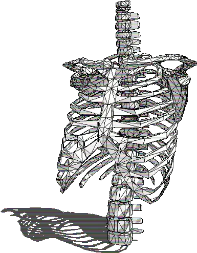 Transparent Skeleton Gif Skeleton Gifs Transparent Png Skeleton Gif Transparent