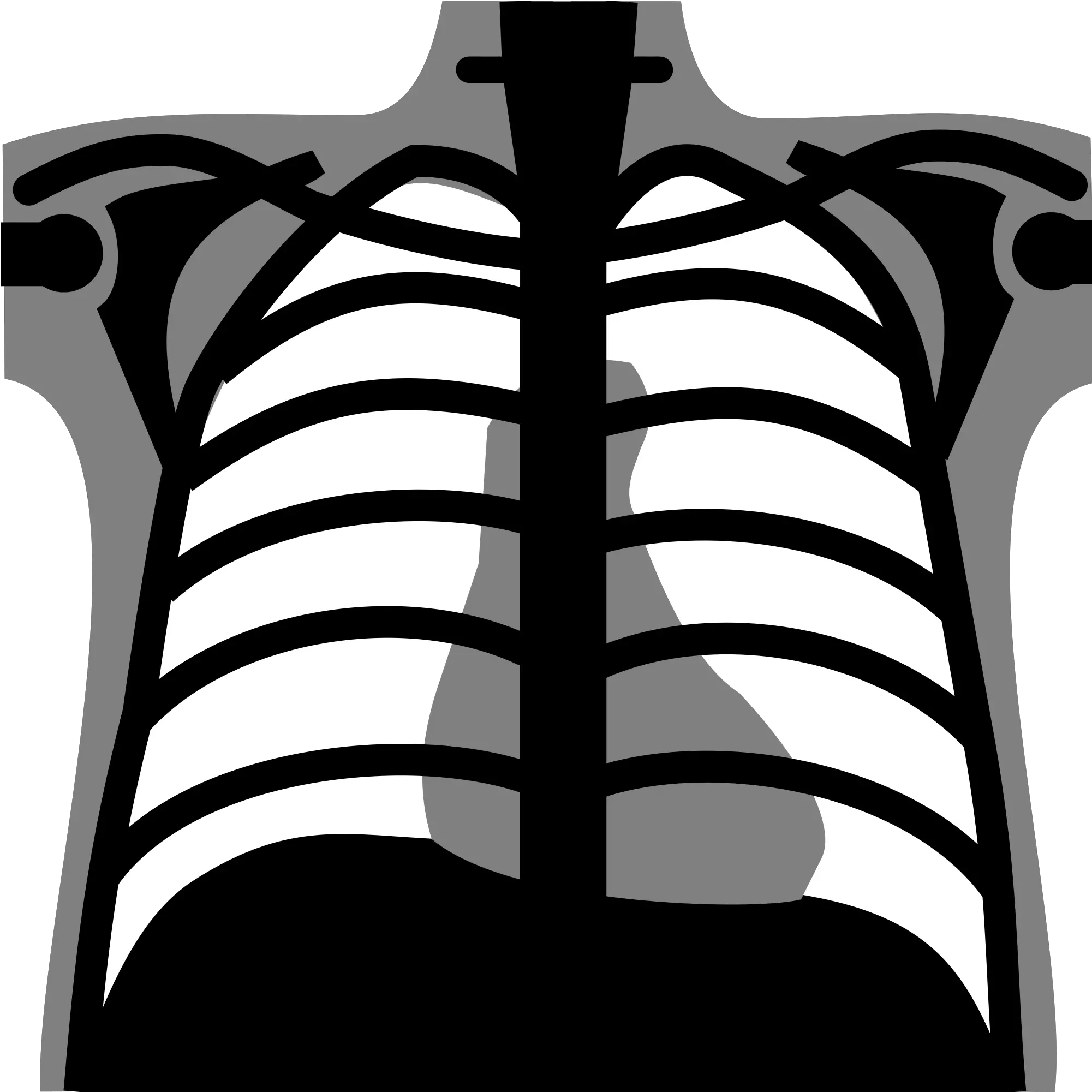 Library Of Chest Xray Image Transparent Png Files Chest X Ray Png Chest Png