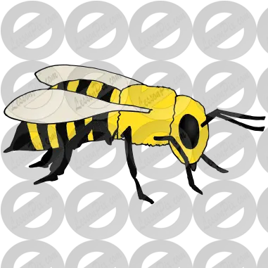 Bee Picture For Classroom Therapy Use Great Bee Clipart Illustration Png Bee Clipart Png