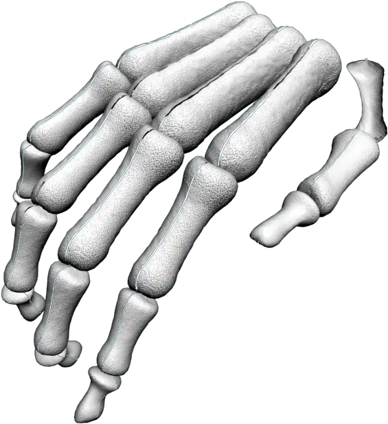 Download Hd Skeleton Arm Png Skeleton Hand Png Transparent Skeleton Hand Png