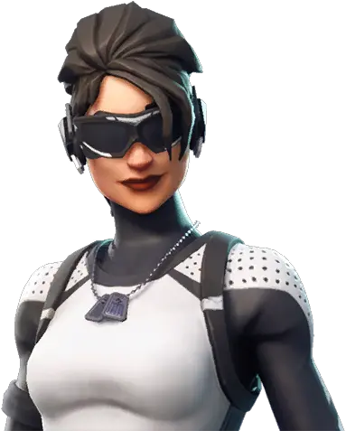 Arctic Assassin Arctic Assassin Fortnite Png Arctic Assassin Png