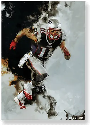 Download Hd Julian Edelman New England Patriots Snow Png Patriots Png