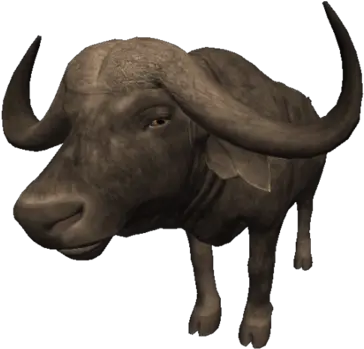 African Buffalo Ancestors The Humankind Odyssey Wiki Bull Png Buffalo Png