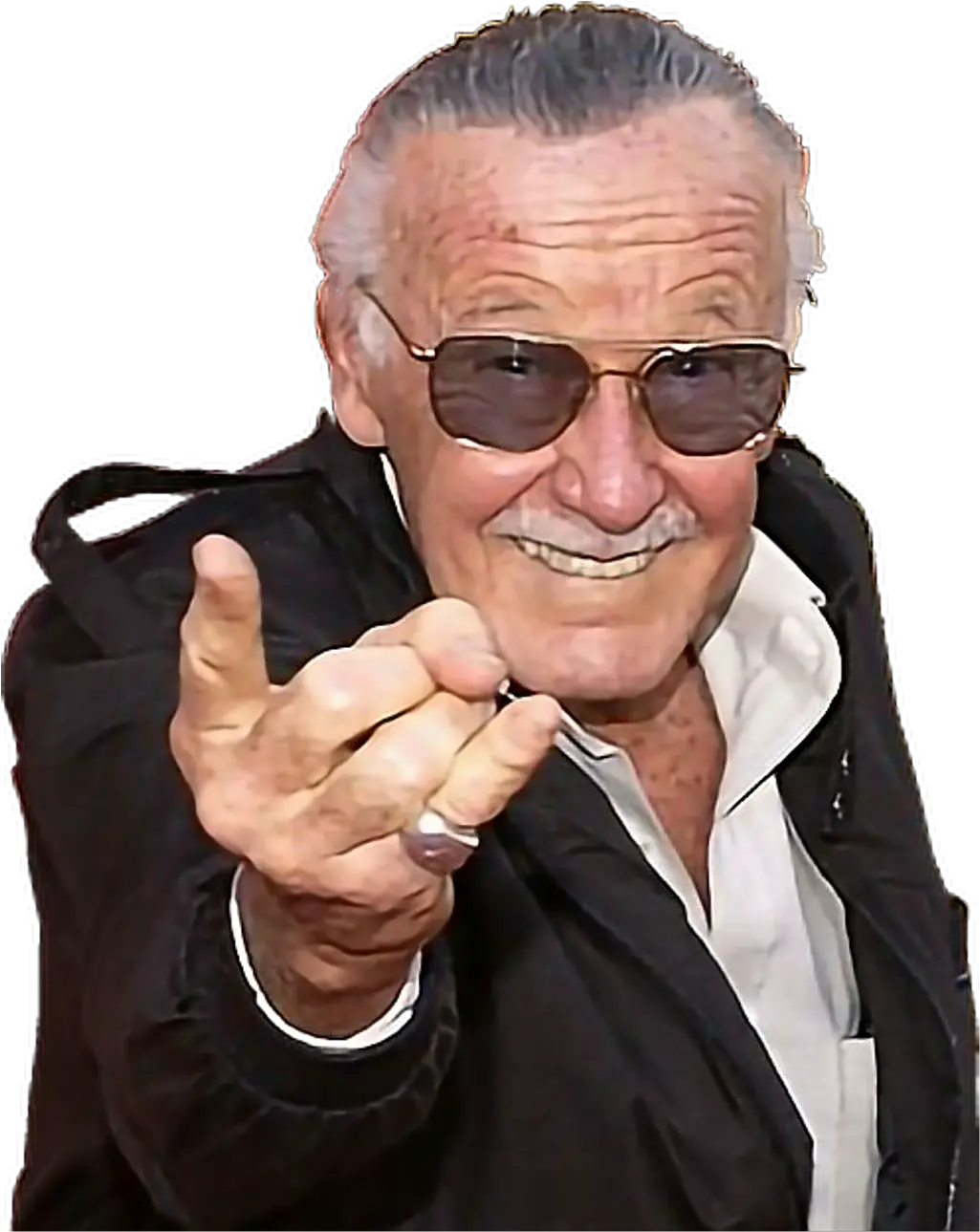 Download Report Abuse Stan Lee Png Stan Lee Png