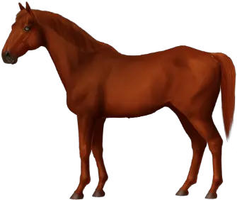 Cp Red Lightning U2022 Horse World Online Appaloosa Png Red Lightning Transparent