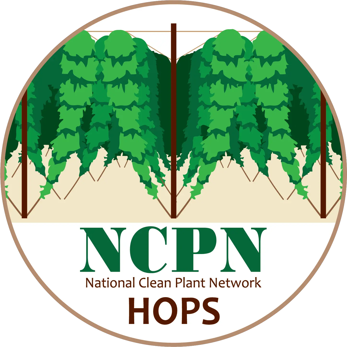 Resource Library National Clean Plant Network Melbourne Knights Png Hops Png