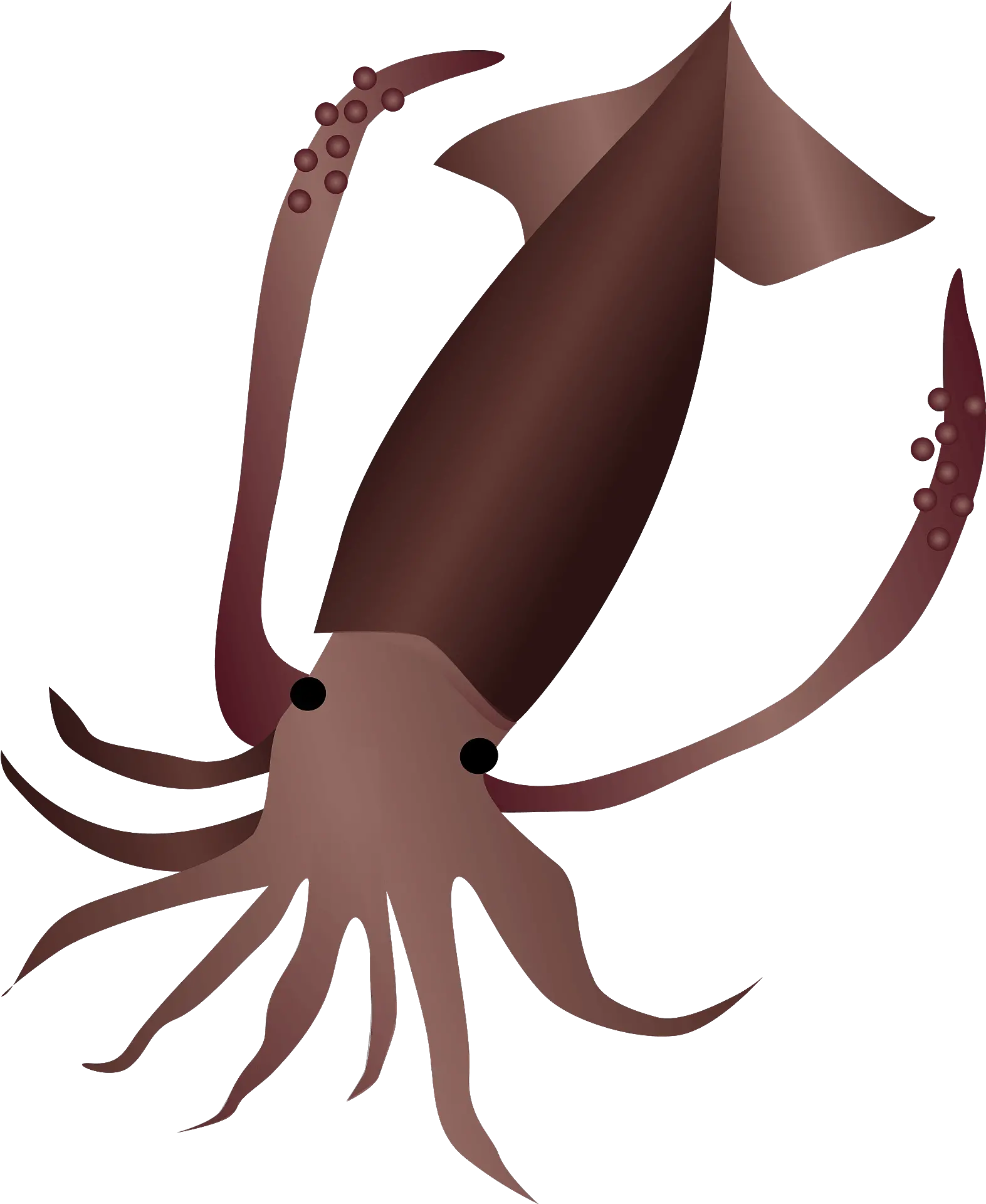 Squid Animal Clipart Free Download Transparent Png Creazilla