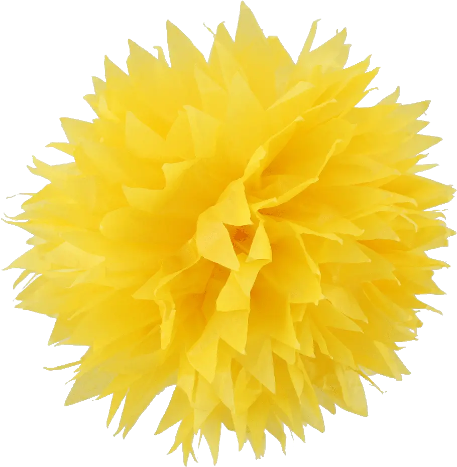 Pompom Png 3 Image Yellow Pom Pom Png Pom Pom Png