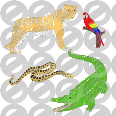 Jungle Animals Stencil For Classroom Therapy Use Great Illustration Png Jungle Animals Png