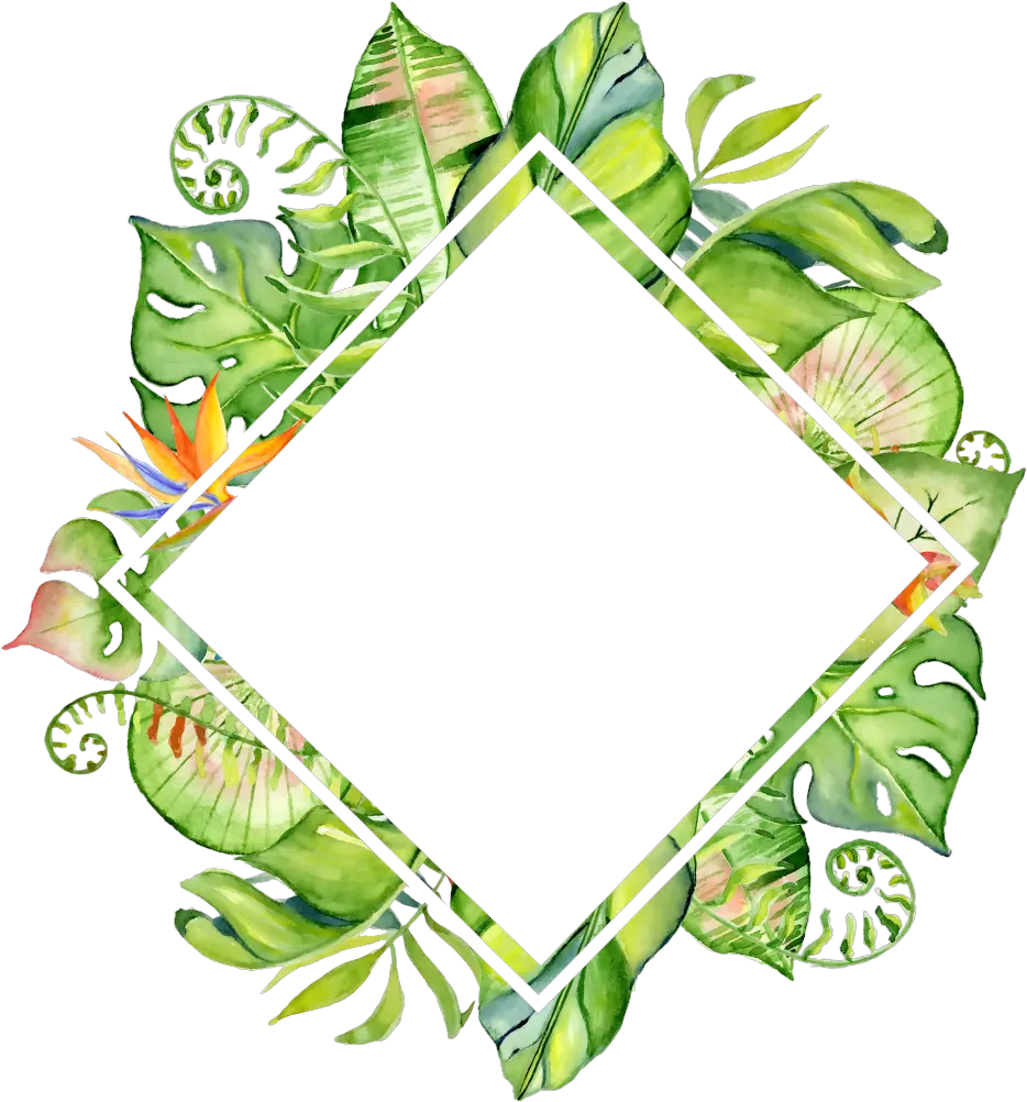 Download Hand Painted Rhomboid Leaf Frame Png Transparent Tropical Leaves Border Clipart Frame Png Transparent