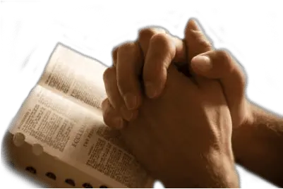 Hands Transparent Png Images Praying Hands Transparent Background Pray Png