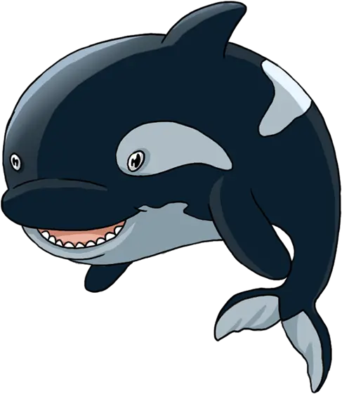 Killer Whale Killer Whale Png Killer Whale Png