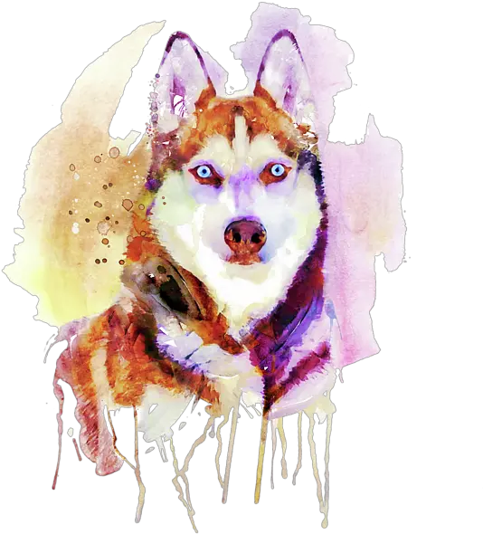 Husky Dog Watercolor Portrait Carry All Pouch Husky Watercolor Png Husky Transparent