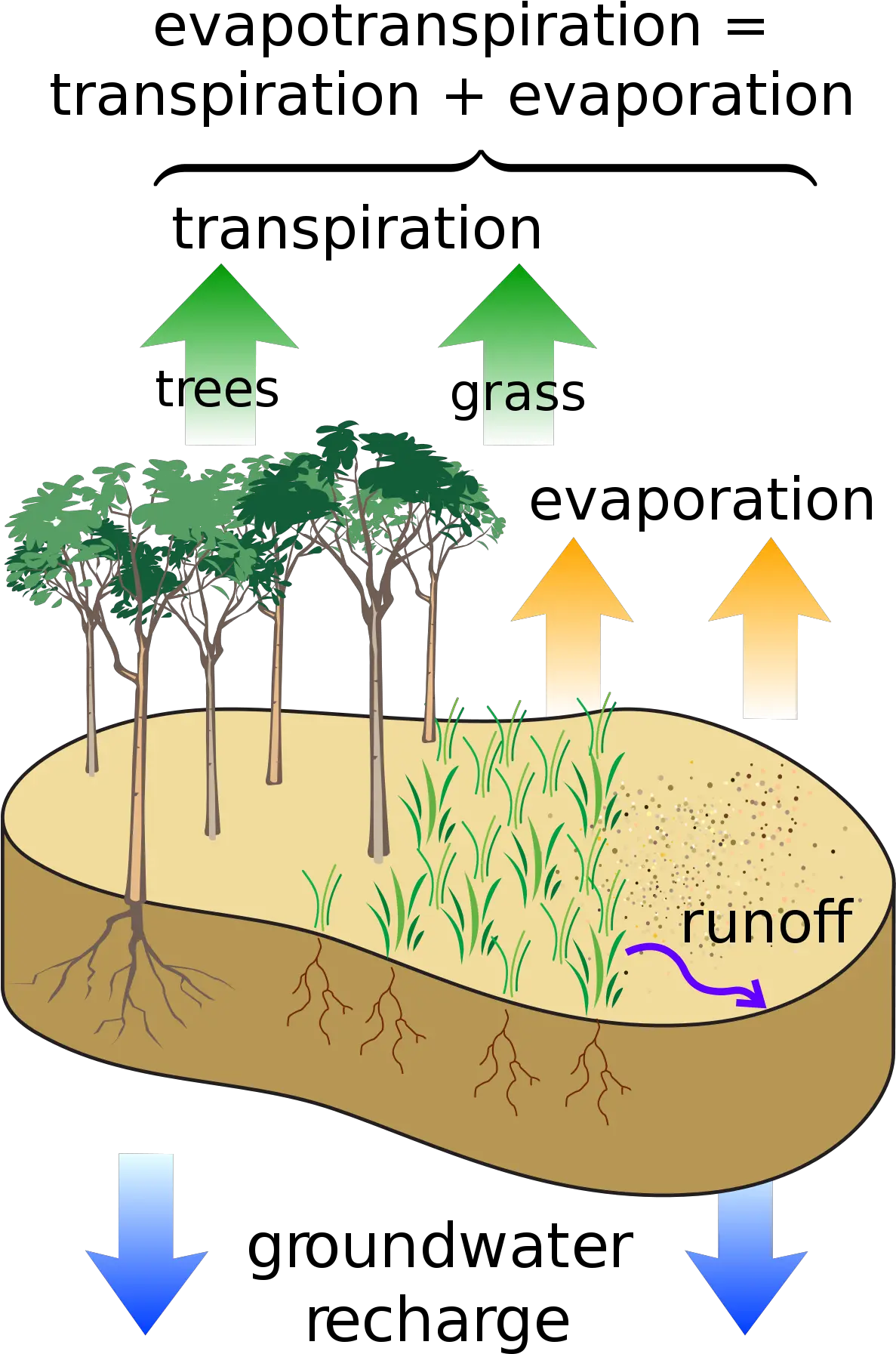 Groundwater Recharge Evapotranspiration Irrigation Png Run Off Icon