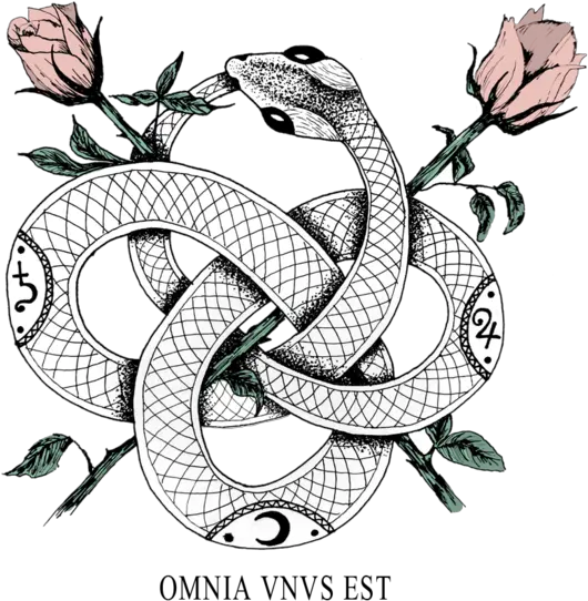 Ouroboros Never Ending Snake Tattoo Png Download Ouroboros Tattoo Snake Tattoo Png