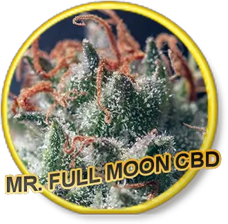 Full Moon Cbd Label Png Full Moon Transparent