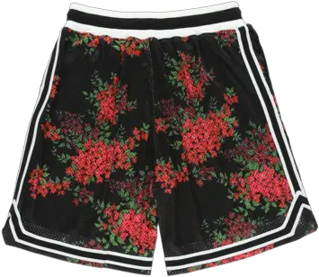 Game Shorts Garmentory Png Lebron X John Elliott Icon