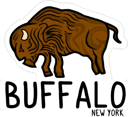 Decals U2014 Sewall U0026 Graham Bull Png Buffalo Png