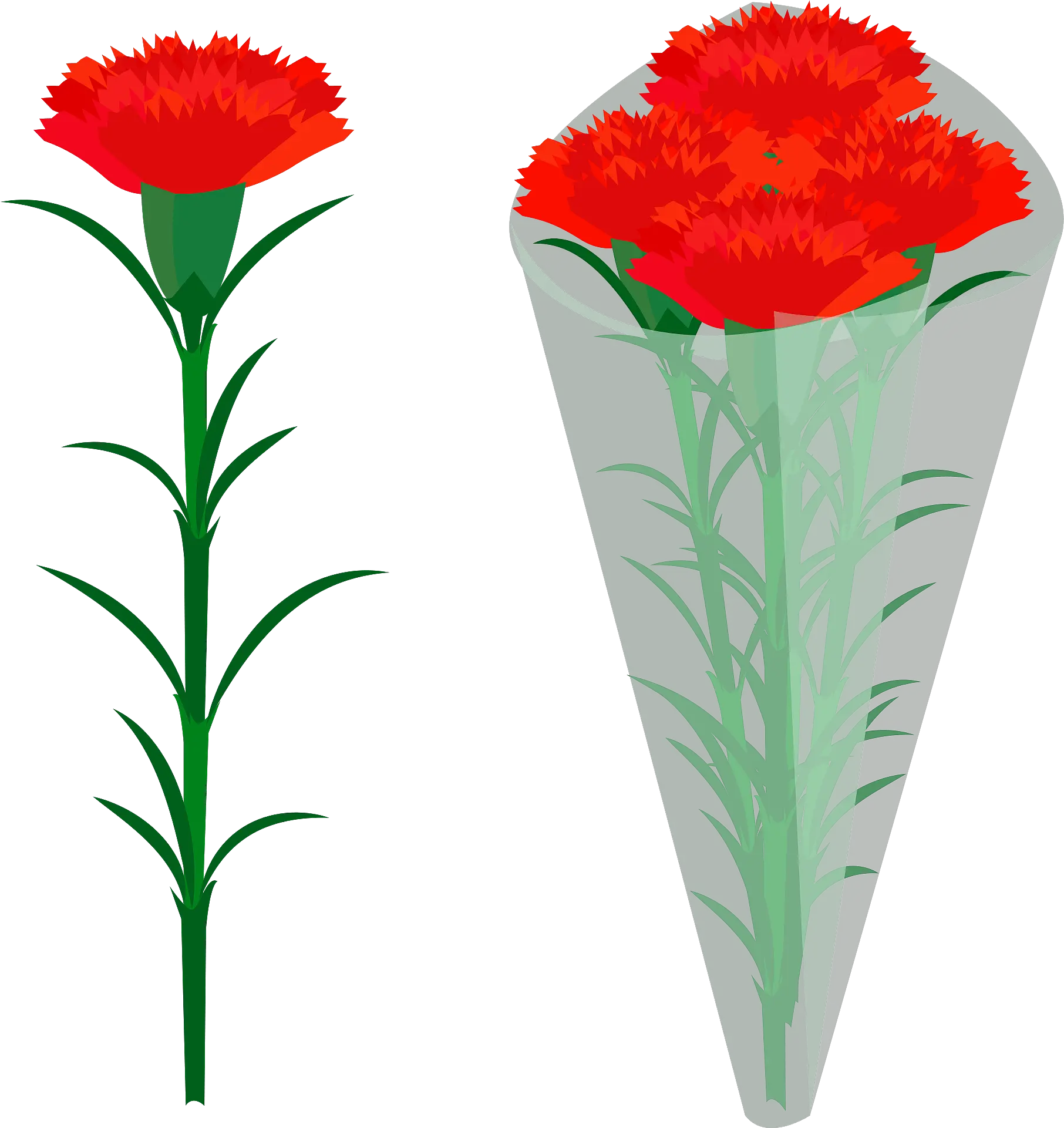 Red Carnation Flowers Clipart Png