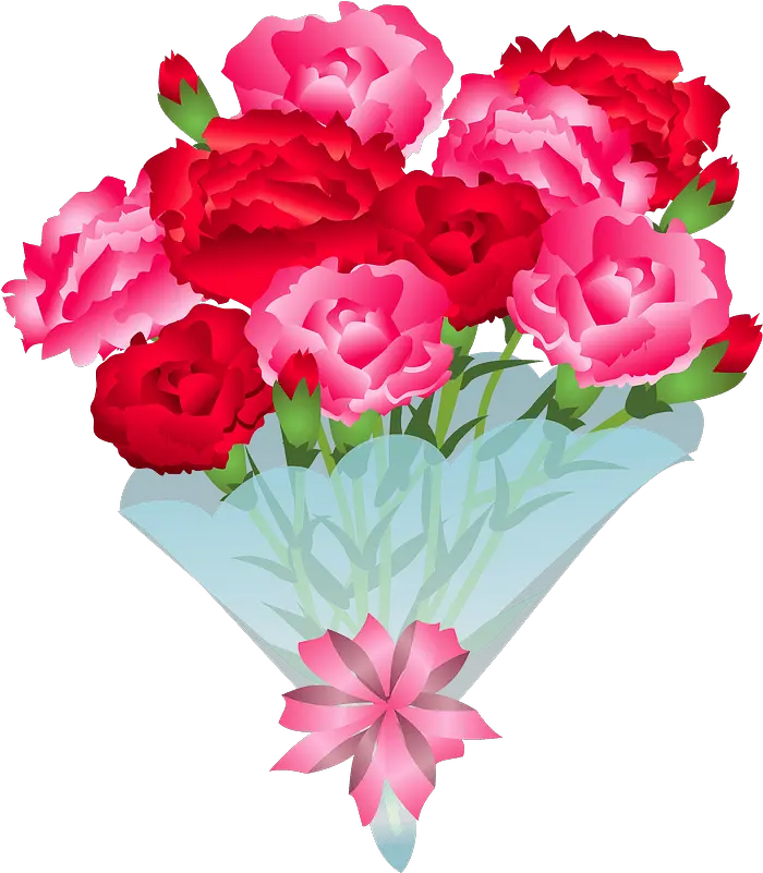 Carnation Mothers Day Clipart Free Download Transparent Png