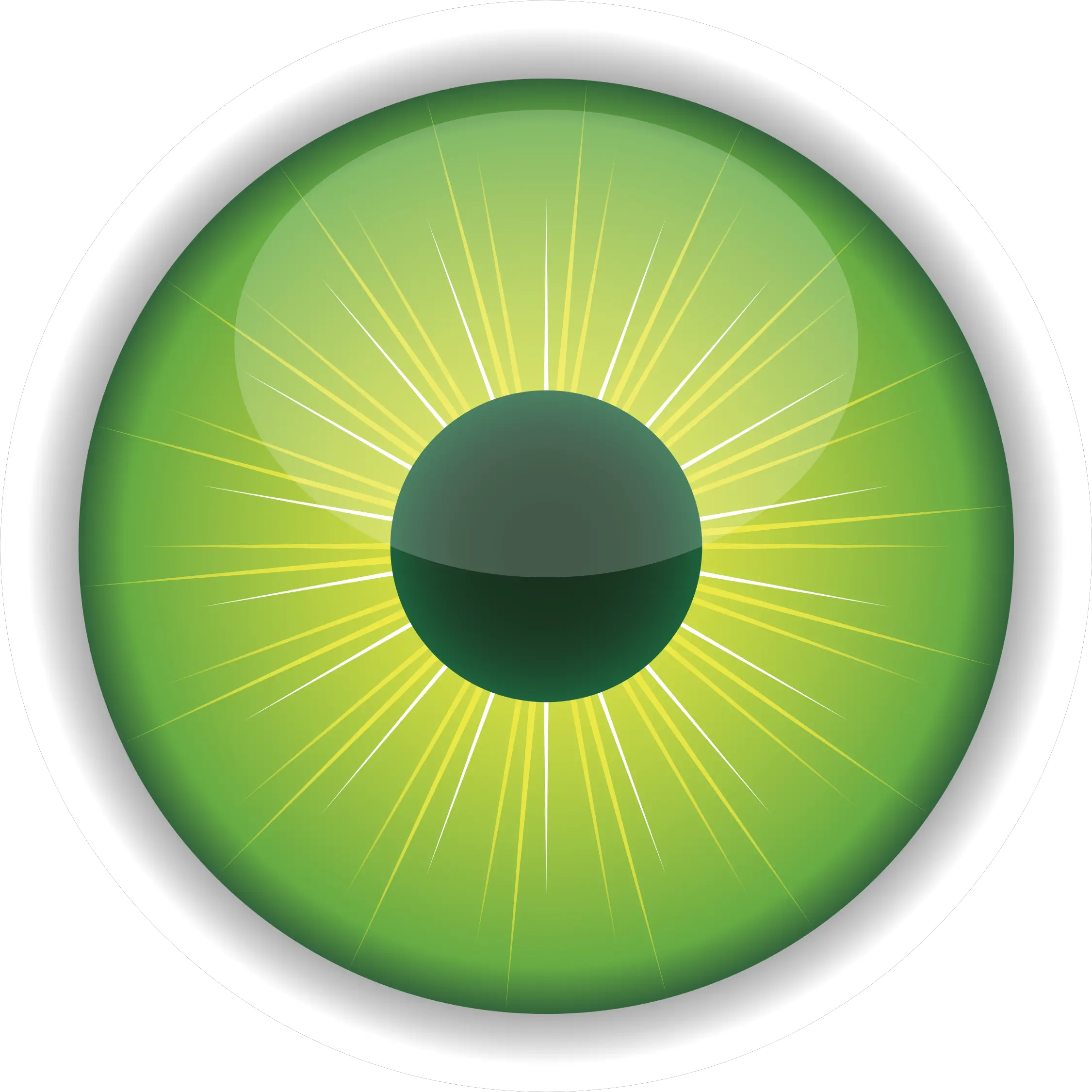 Green Eye Png 1 Image Eyeball Eye Iris Pupil Purple Human Googly Eyes Transparent Background