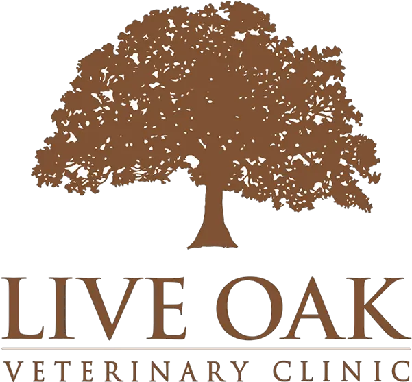 Live Oak Veterinary Clinic Summer Music Png Live Oak Png