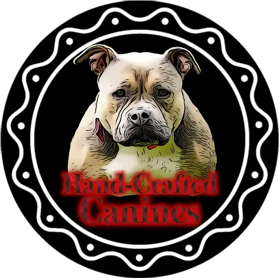 American Bully White English Bulldog Png American Bully Logo