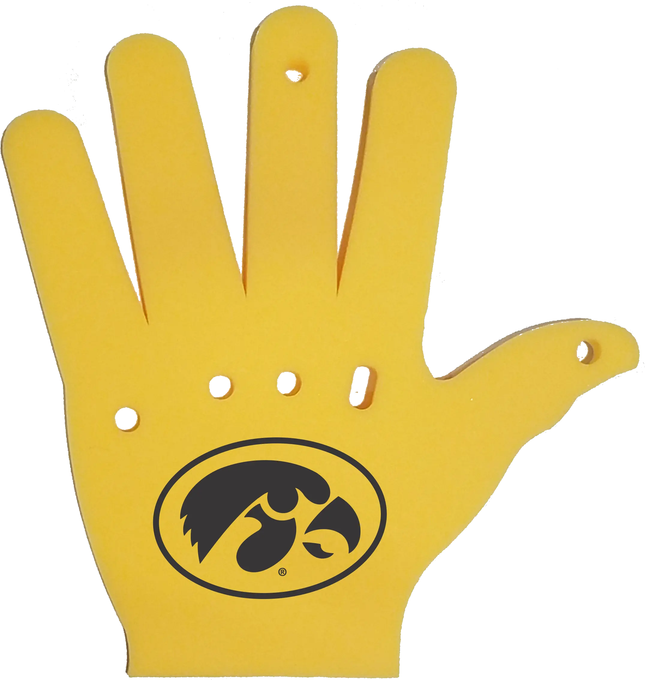 Foam 5 Iowa Hawkeye Flag Png Iowa Hawkeyes Icon