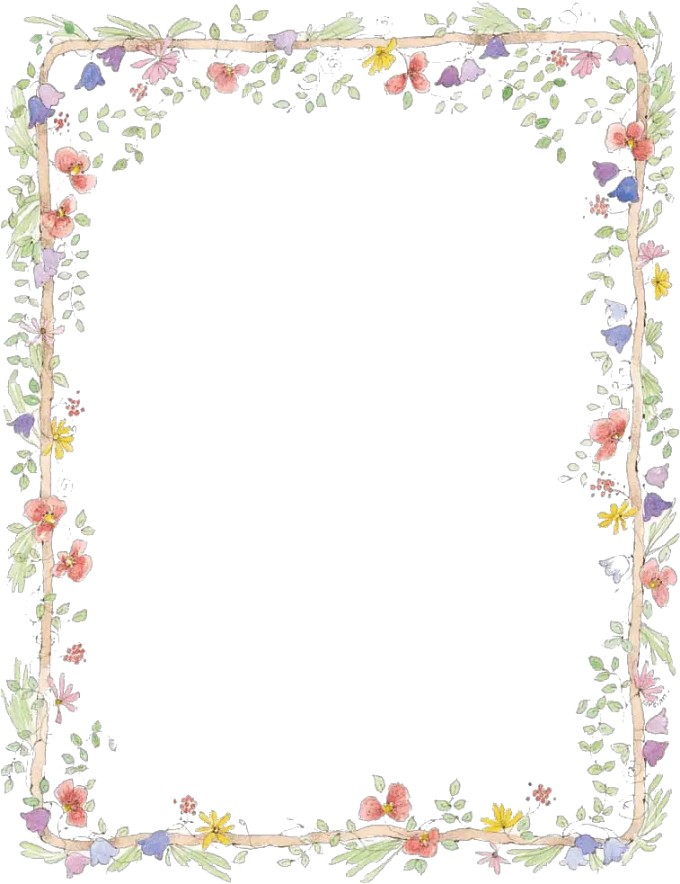 Download Transparent Photo Frames Png Flower Border For Word Frame Png Transparent