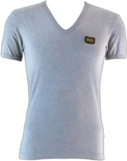 Gabbana Grey V Neck Cotton T Active Shirt Png Dolce And Gabbana Logo