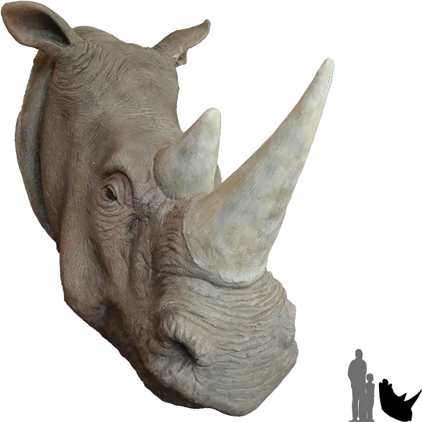 Rhino Head Png 8 Image Rhino The Animal Head Animal Head Png