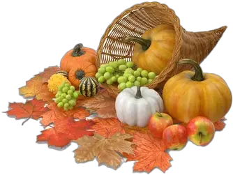 Feast Transparent Background Png Mart Pumpkin Thanksgiving Transparent Background