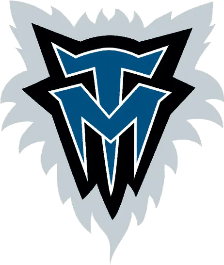 The Best And Worst Nba Logos Minnesota Timberwolves Png All Nba Logos