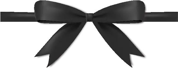 Black Bow Ribbon Png Image With Black Bow Ribbon Black Belt Png