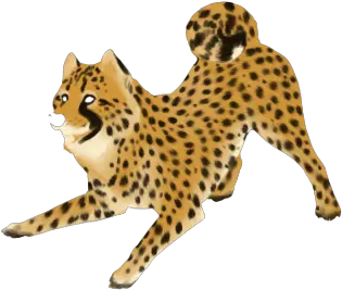 Download Cheetah Png Clipart Clip Art Cheetah Png