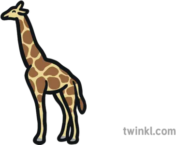 Giraffe Map Icon African Mammal Long Northern Giraffe Png Giraffe Icon