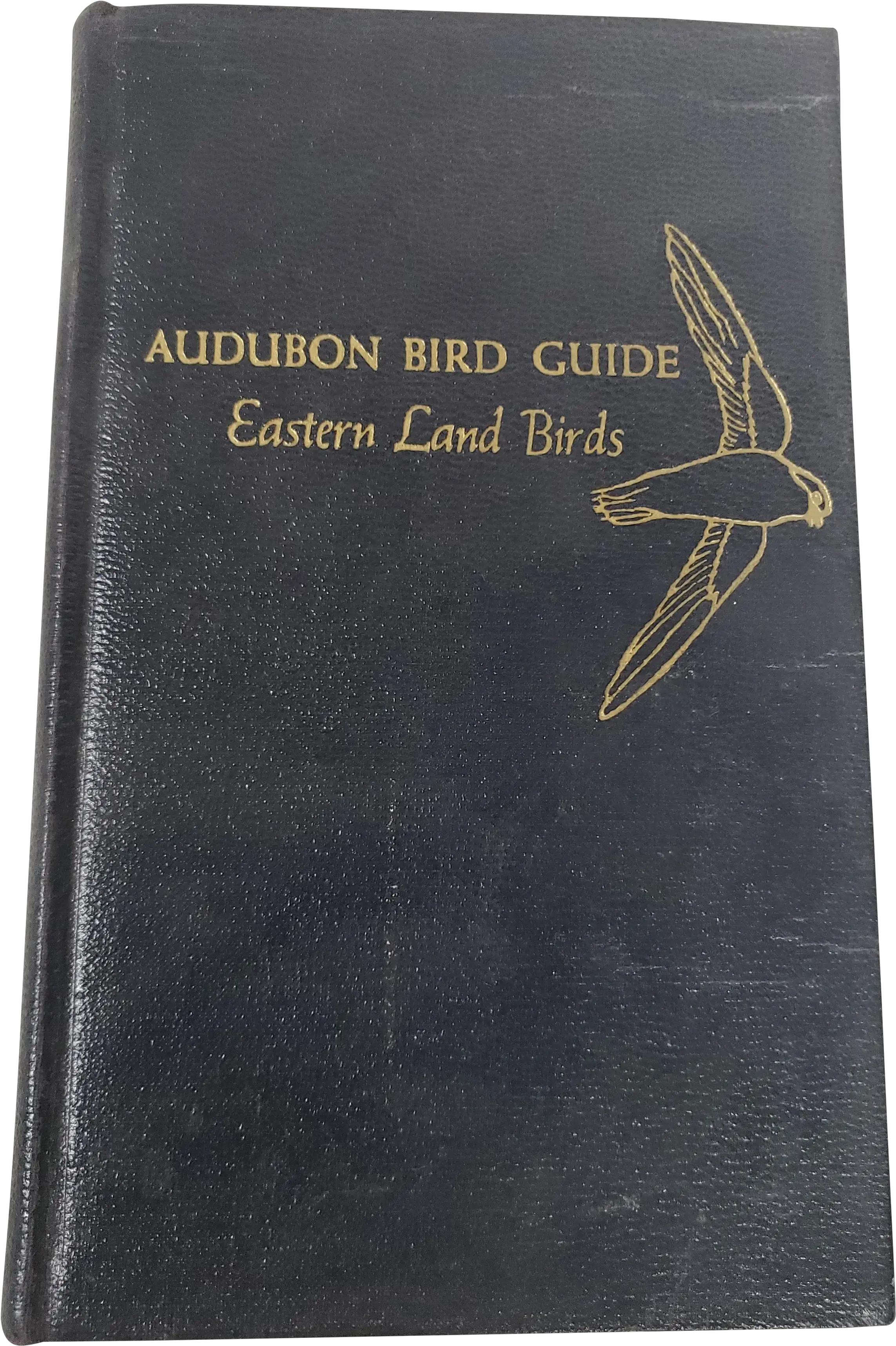 Audubon Bird Guide Eastern Land Birds 1946 Fashion Brand Png Torn Page Png