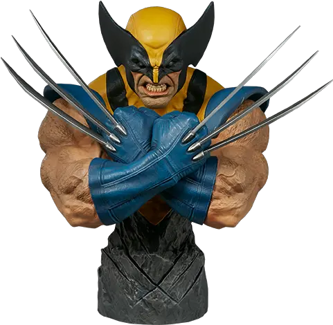 Wolverine Bust By Sideshow Collectibles Wolverine Bust Png Wolverine Transparent