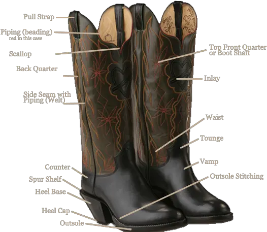 Anatomypng 600480 With Images Boots Cowboy Png