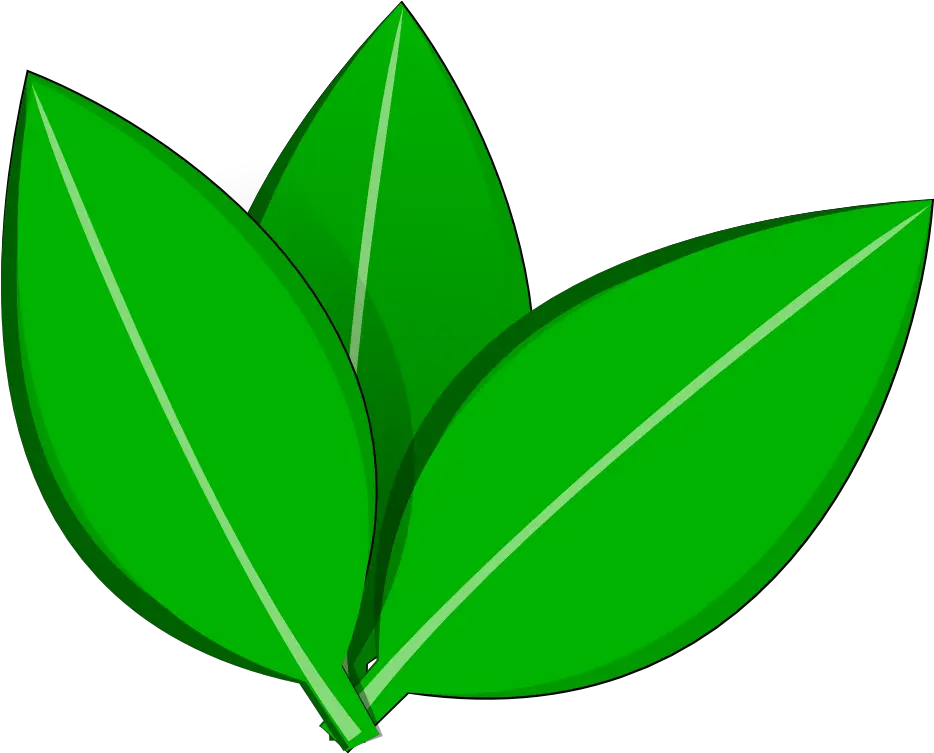 Leave Vector Png 4 Image Vector Tree Leaf Png Leave Png