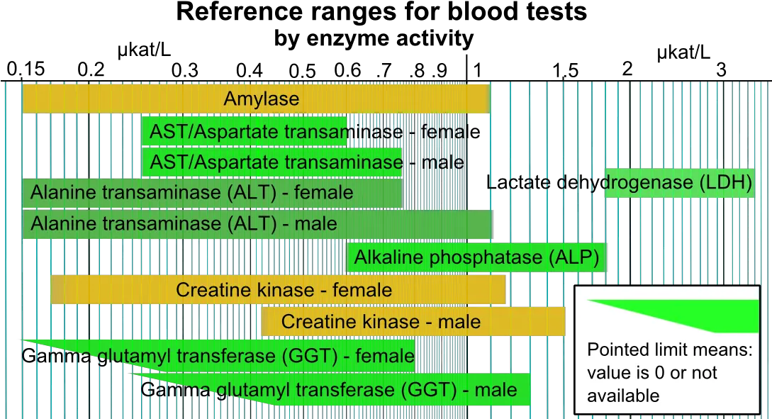 Reference Ranges For Blood Tests Reference Range For Blood Tests Png Activity Png