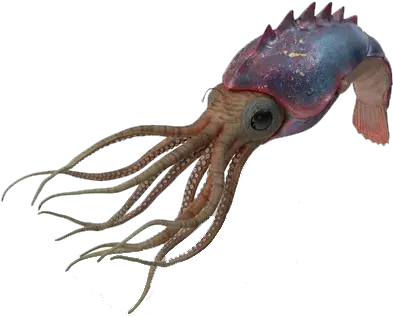 Octopus Png Image File Octopus Octopus Png