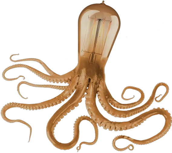 Octopus Underwater Art Only Png Octopus Octopus Png