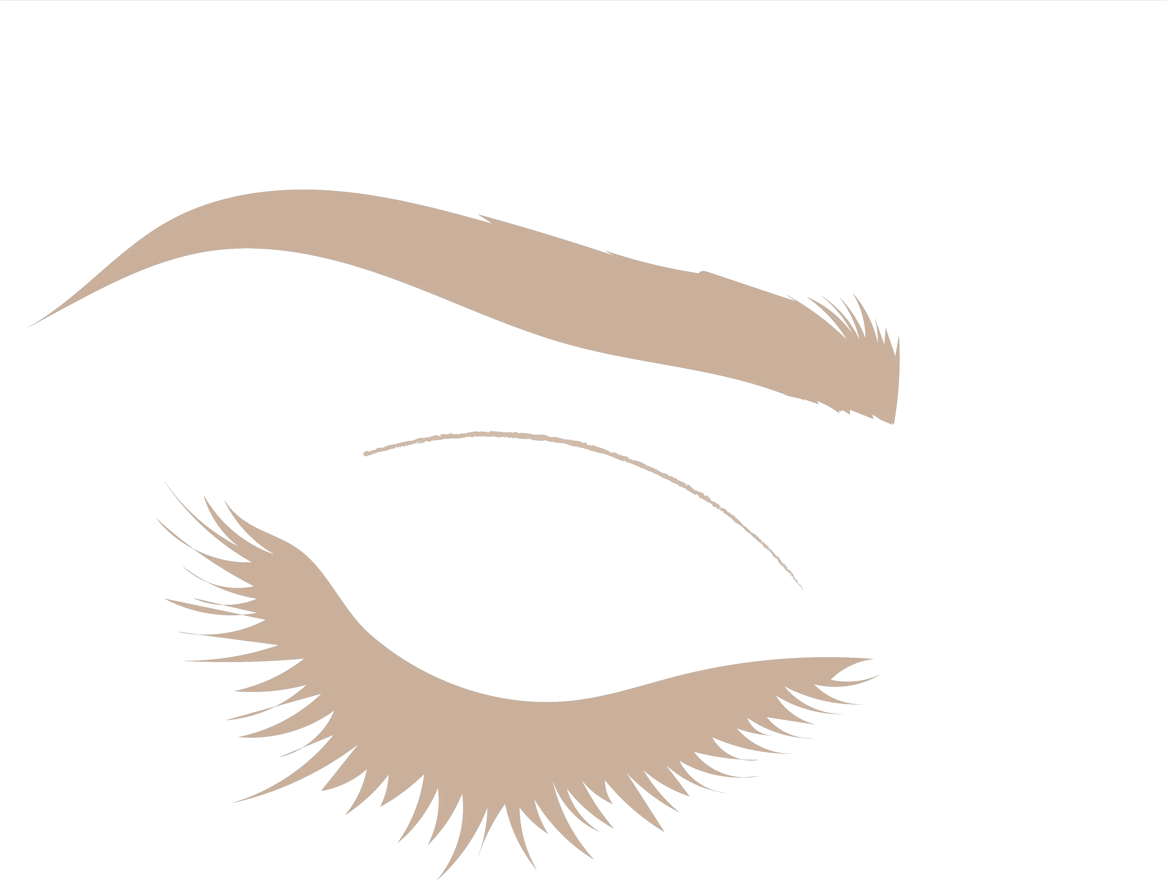 Services Twig U0026 Arrow Salon Png Lash Icon