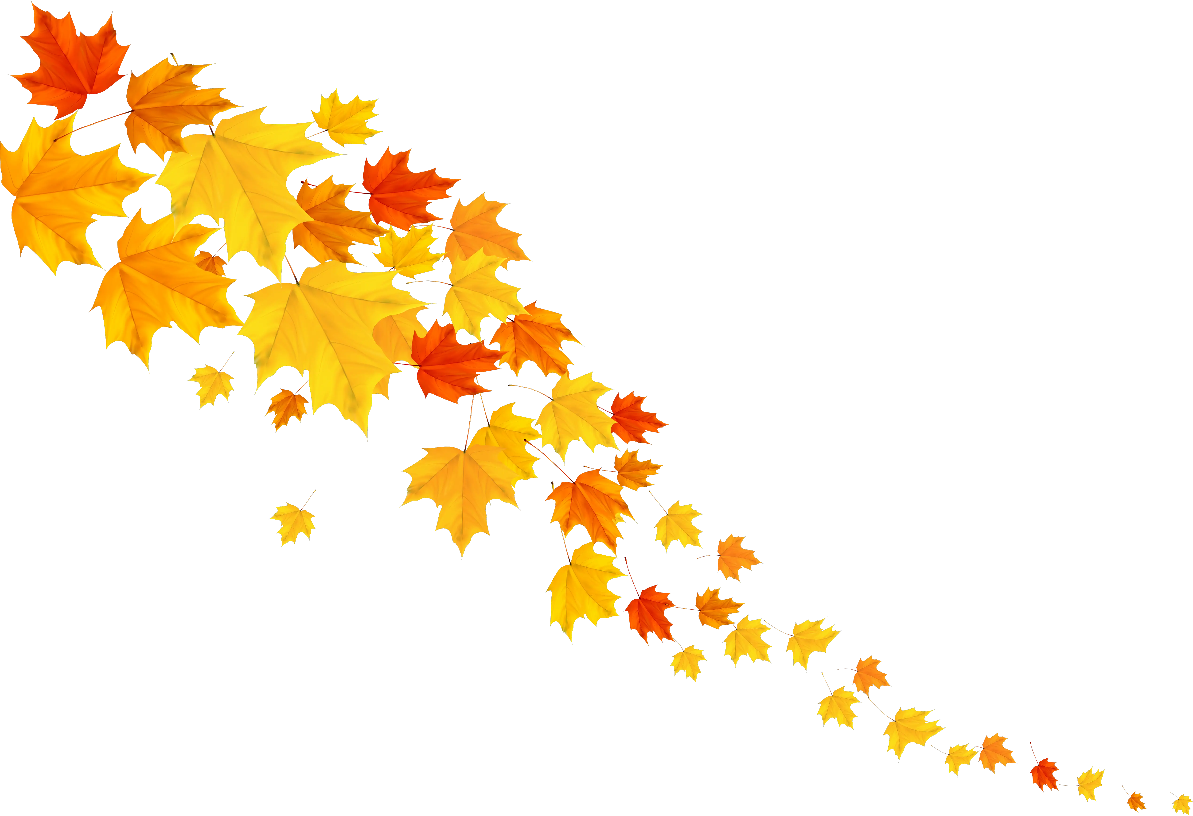 Download Hd Leafs Png Image Gallery Autumn Decoration Png Leafs Png