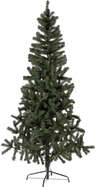 Christmas Tree Canadian Christmas Tree Png Christmas Tree Star Png